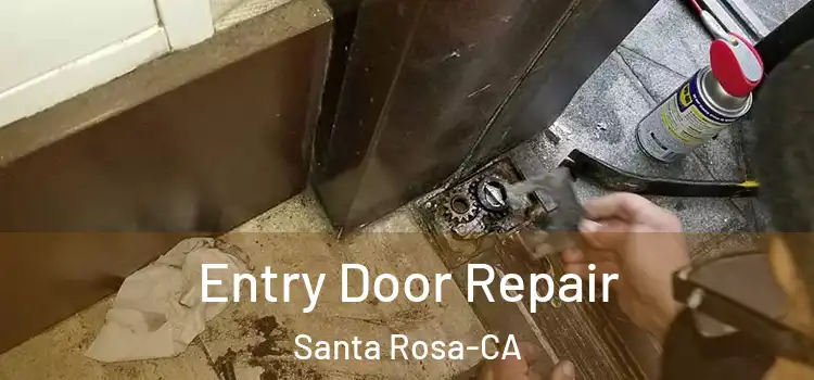 Entry Door Repair Santa Rosa-CA