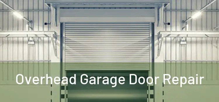  Overhead Garage Door Repair 