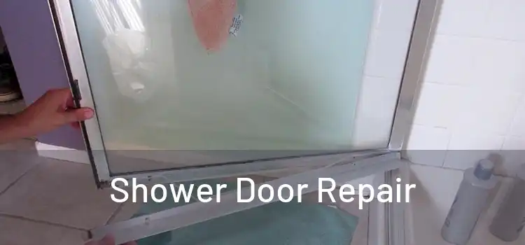Shower Door Repair